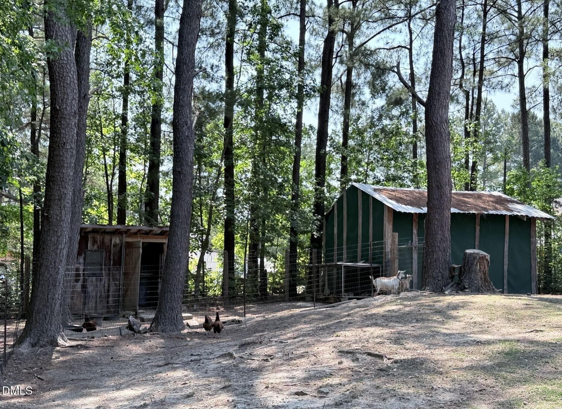 Chicken Coop and Shed - 6812 Pulley Town Road, Wake Forest, NC 27587