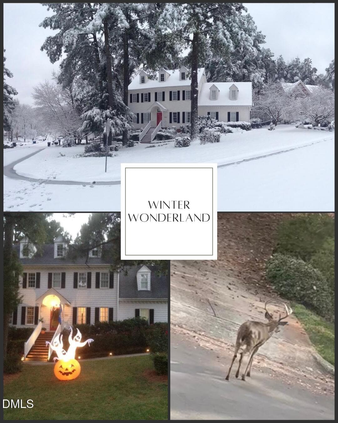 winter wonderland - 7721 Sutcliffe Dr - 7721 Sutcliffe Drive, Raleigh, NC 27613, Raleigh
