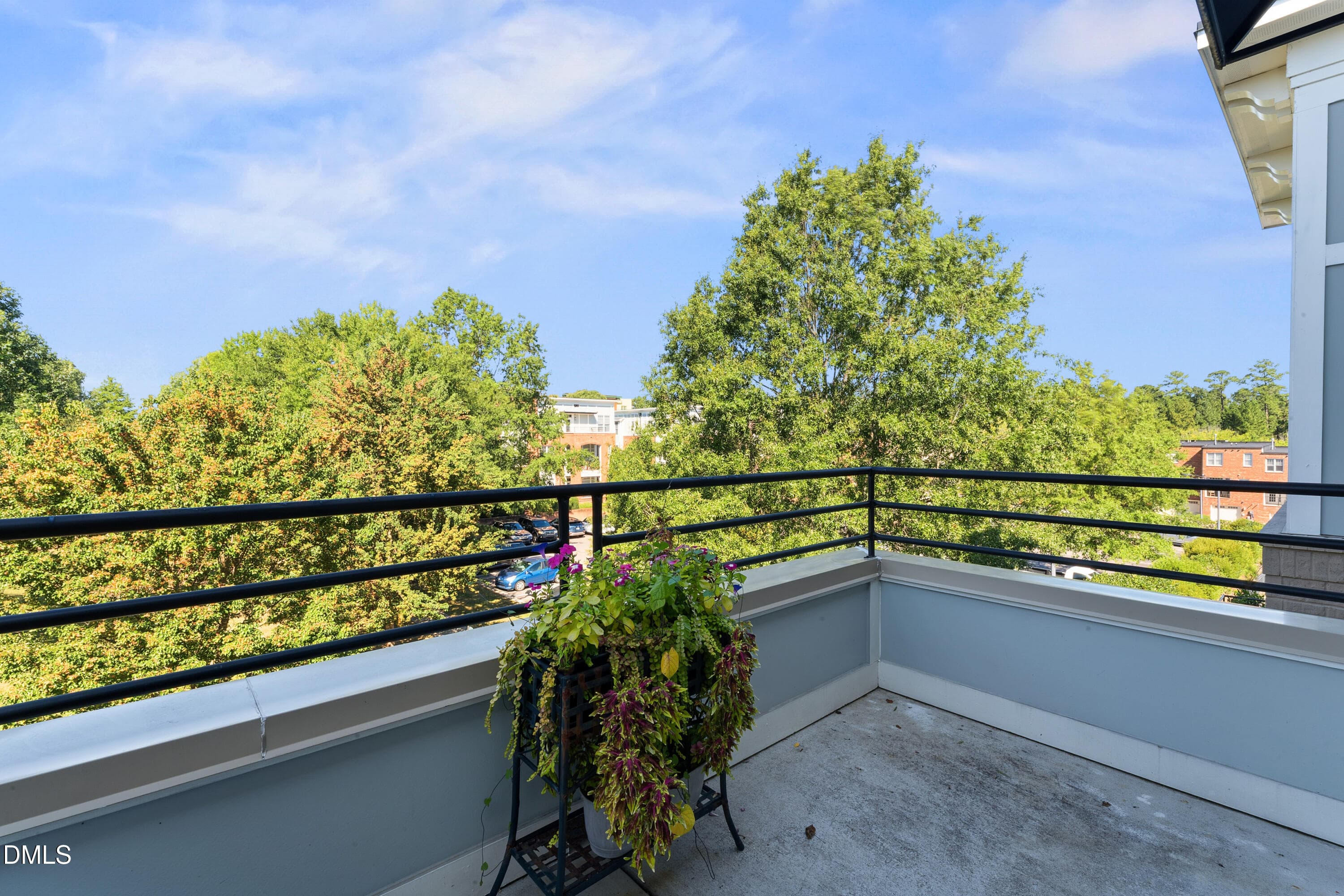 Side Balcony View - 501 Finsbury Street Apt 303, Durham, NC 27703, Durham