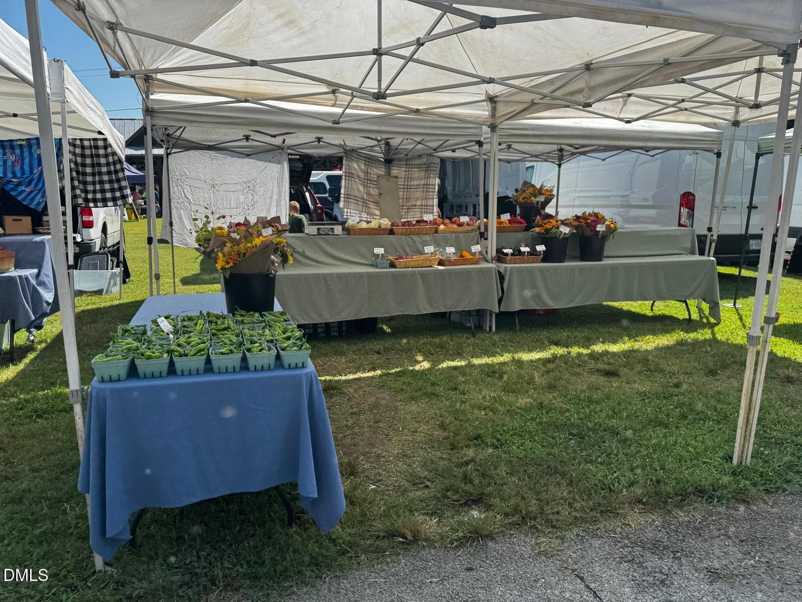 farmers 6 - 105 Fidelity Street A10, Carrboro, NC 27510, Carrboro