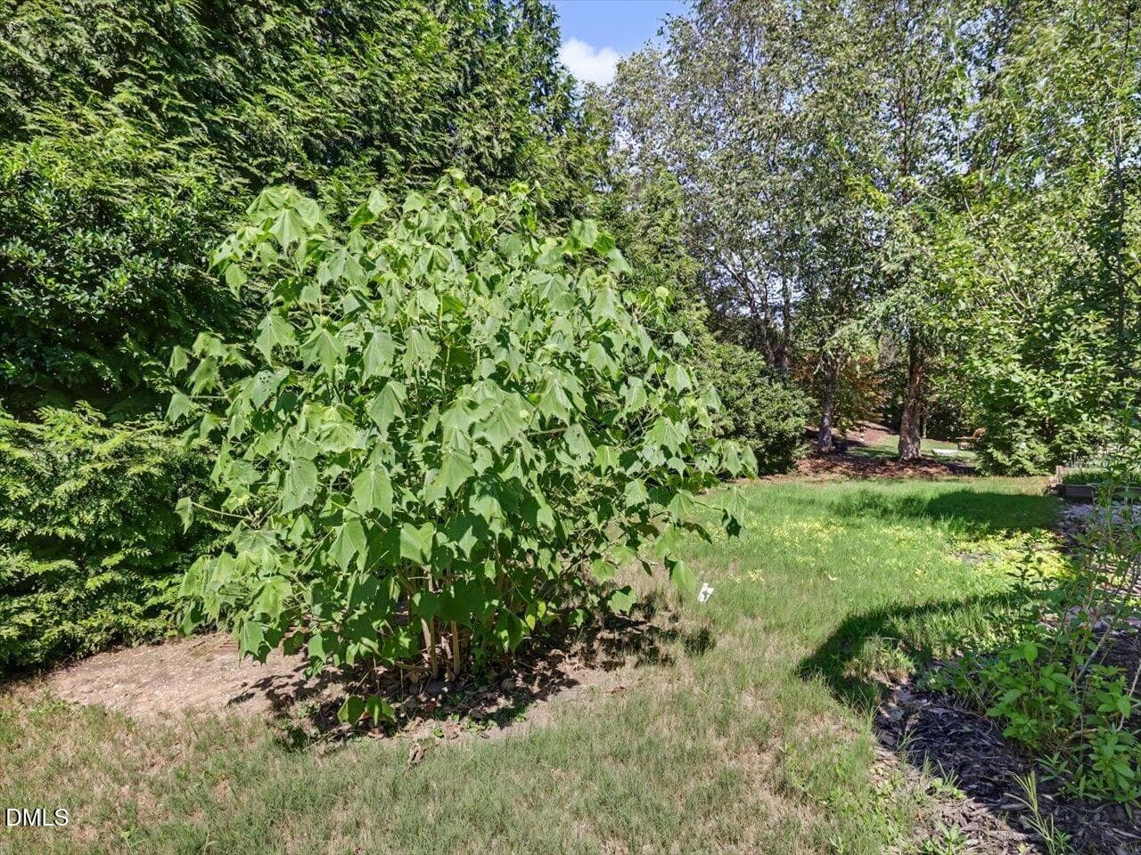 73-Backyard - 1444 Padstone Drive, Apex, NC 27502, Apex