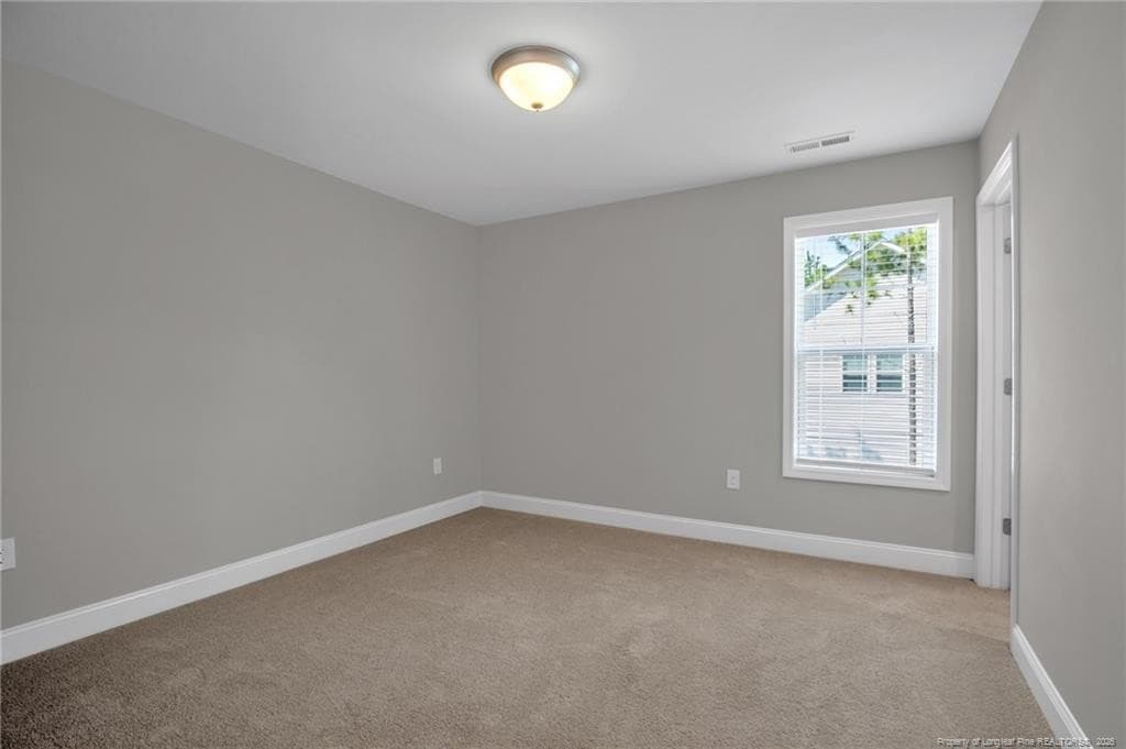 Photo 26 - 2815 Lemuel Black Road, Bunnlevel, NC 28323