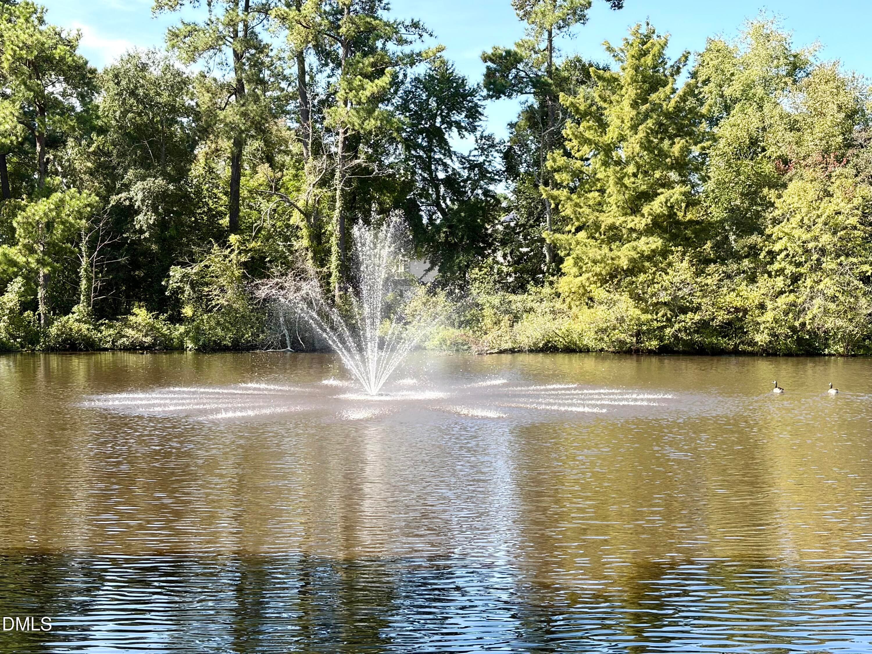 IMG_1204 - 3607 Massey Pond Trail, Raleigh, NC 27616, Raleigh