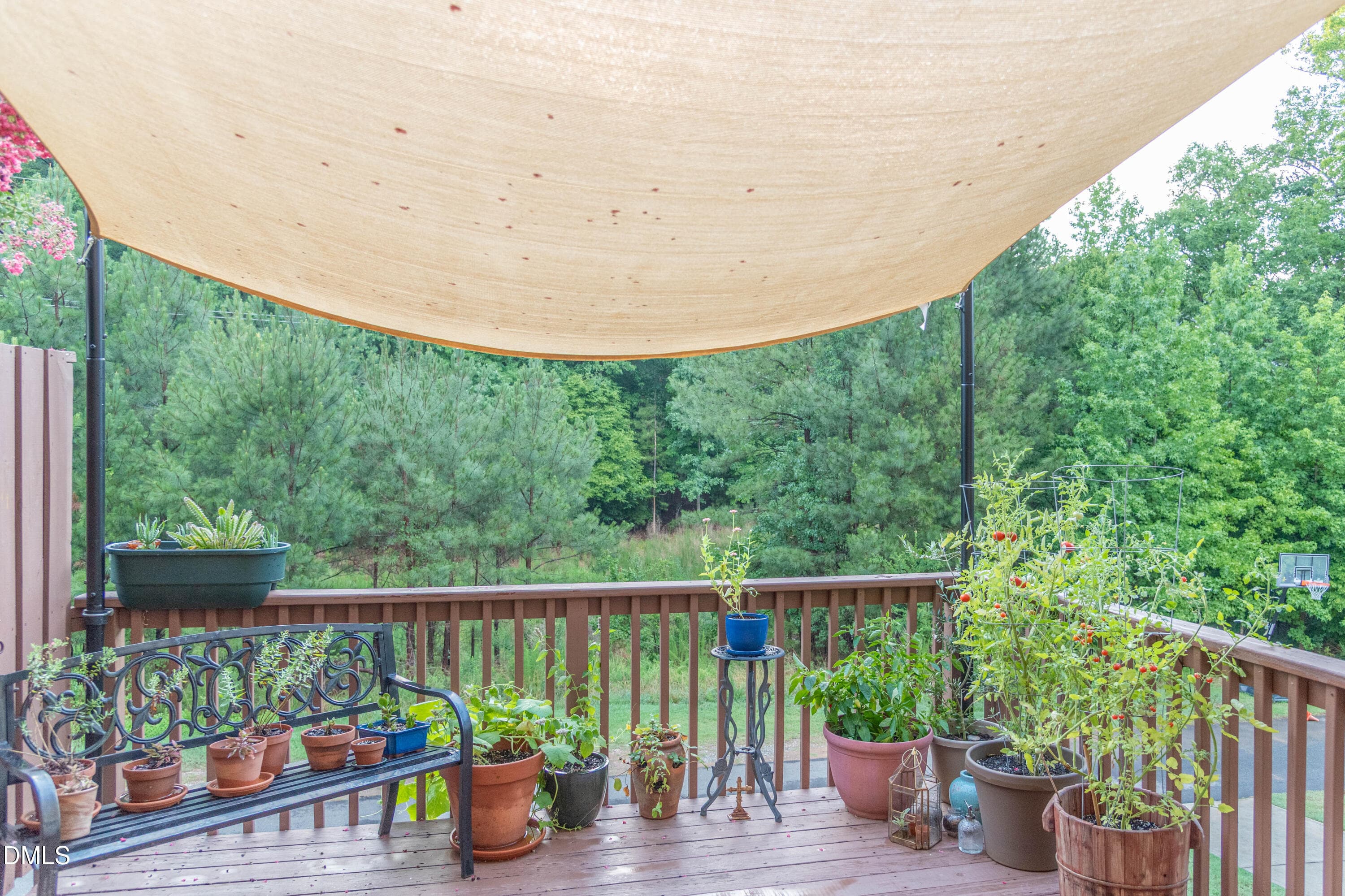 Extended Deck - 130 S Camellia Street, Chapel Hill, NC 27516, Chapel Hill