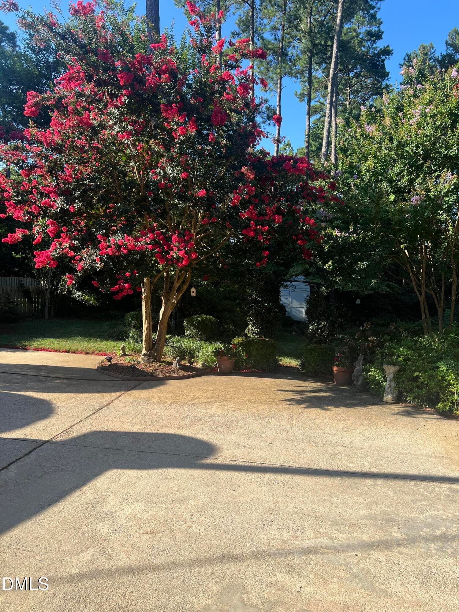 Crepe Myrtle Driveway - 1014 Country Ridge Drive, Raleigh, NC 27609, Raleigh