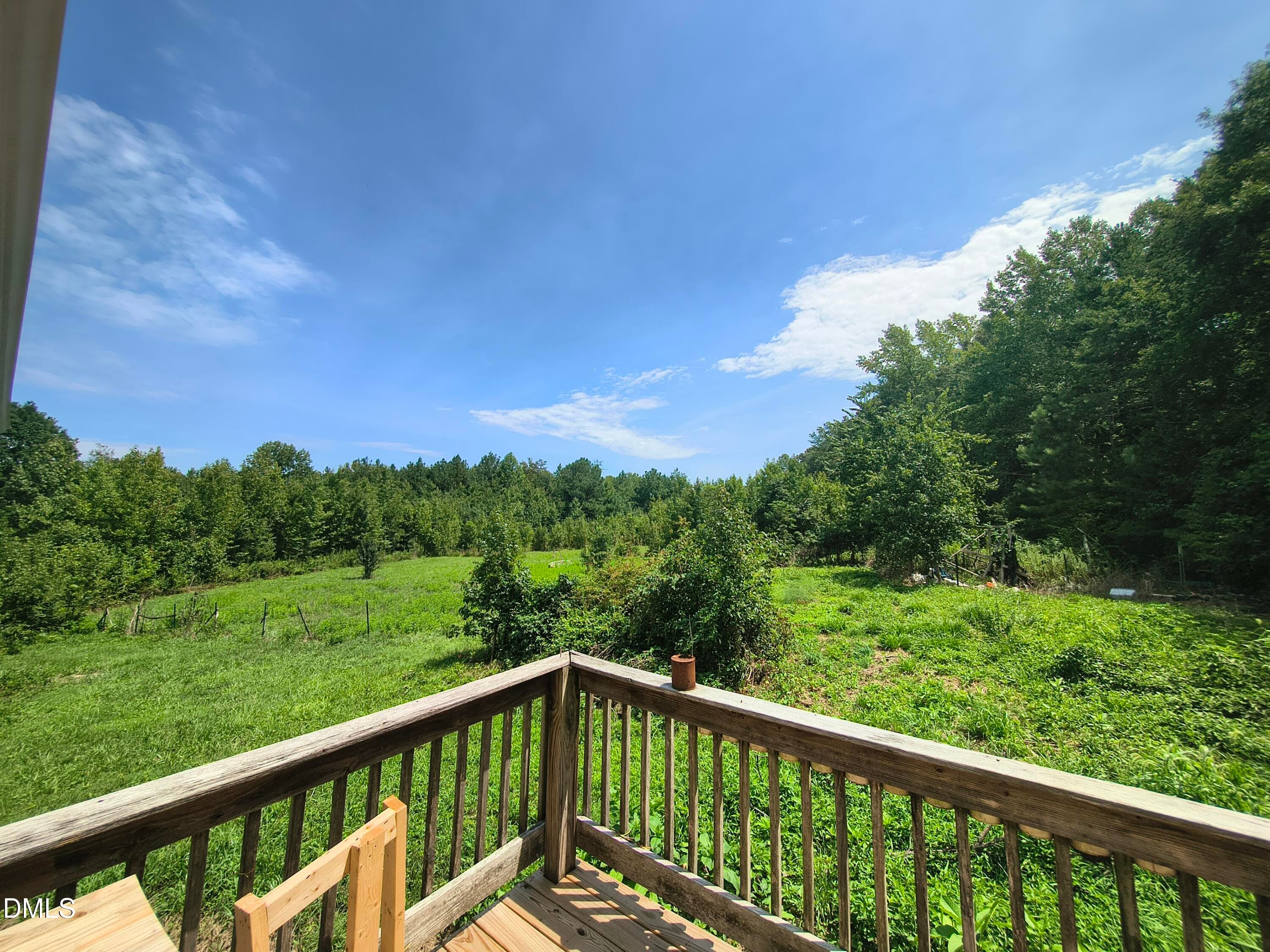 Deck view - 81 Mt Harmony Church Road, Timberlake, NC 27583, Timberlake
