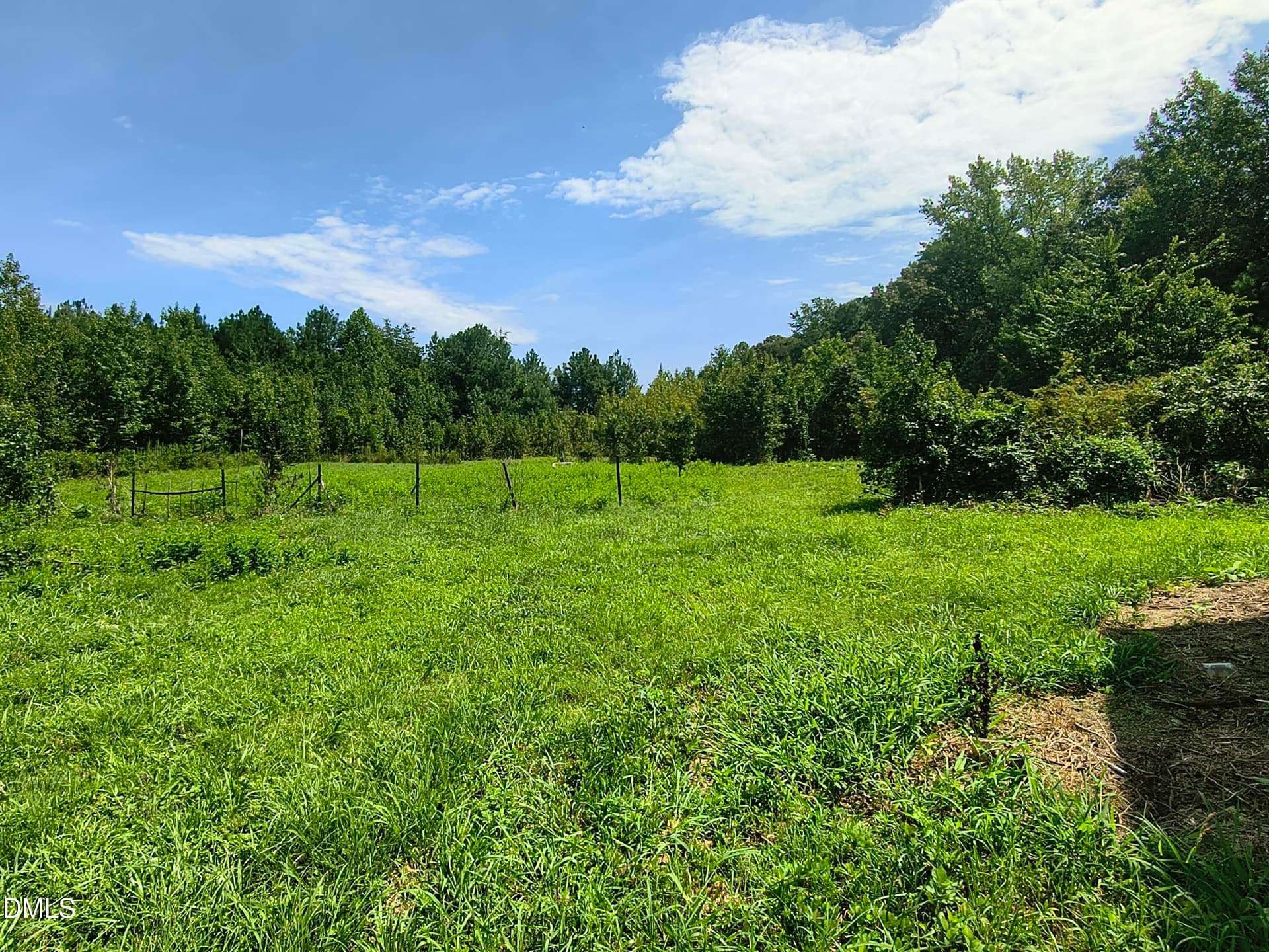 View - 81 Mt Harmony Church Road, Timberlake, NC 27583