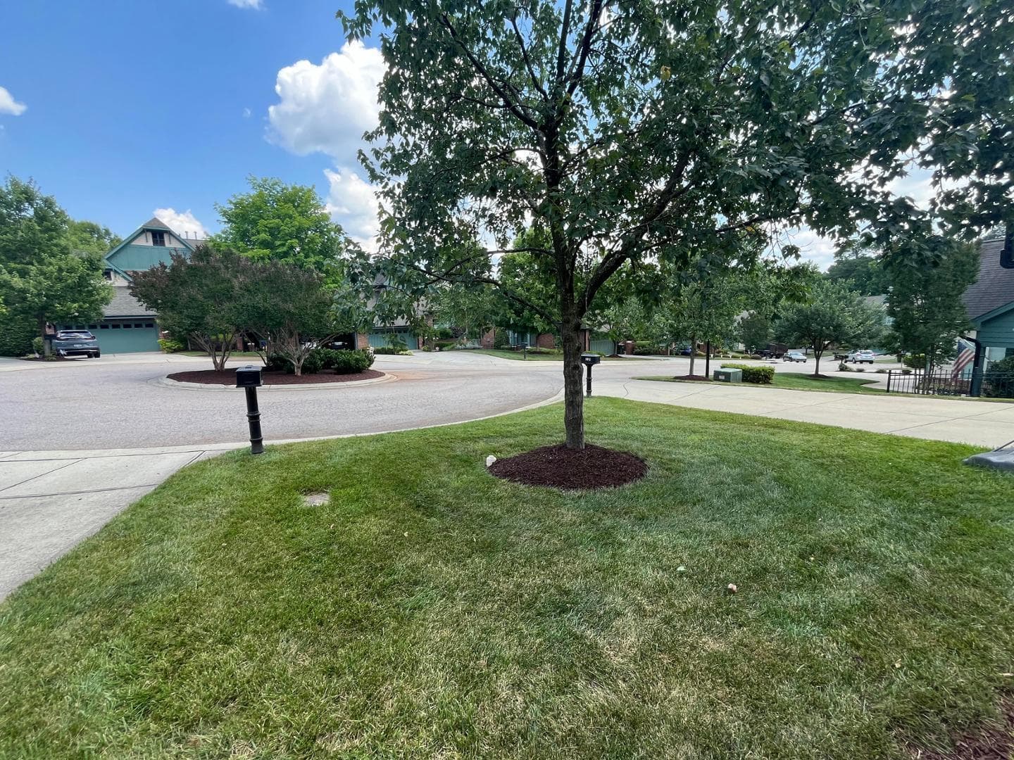 Photo #6 - 8012 Lloyd Allyns Way, Raleigh, NC 27615