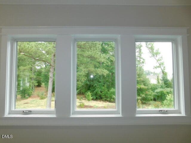 DSCN0384 - 705 Ahad Court, Apex, NC 27523, Apex