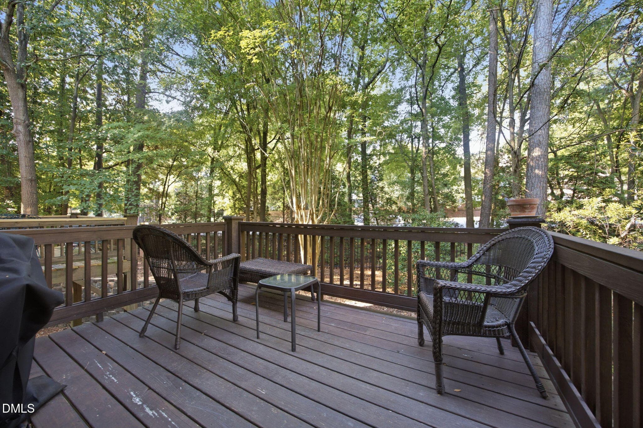 25-web-or-mls-IMG_4279 - 203 Ashton Hall Lane, Raleigh, NC 27609, Raleigh