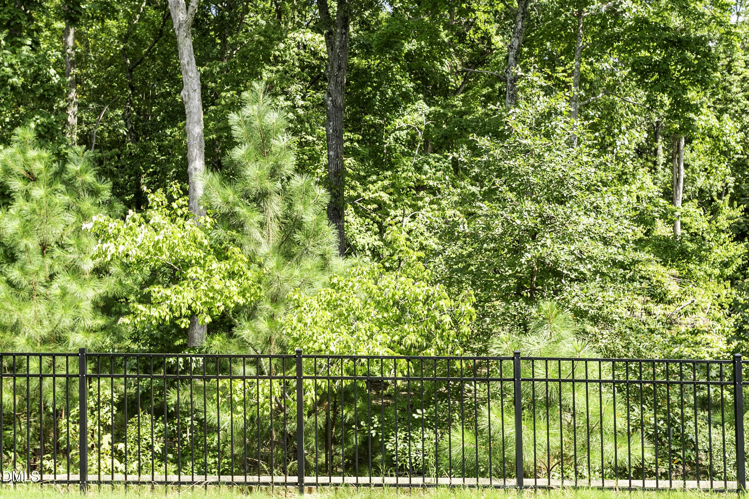 561 Summit Trail Dr©WynmorPhotography.c - 561 Summit Trail Drive, Hillsborough, NC 27278, Hillsborough