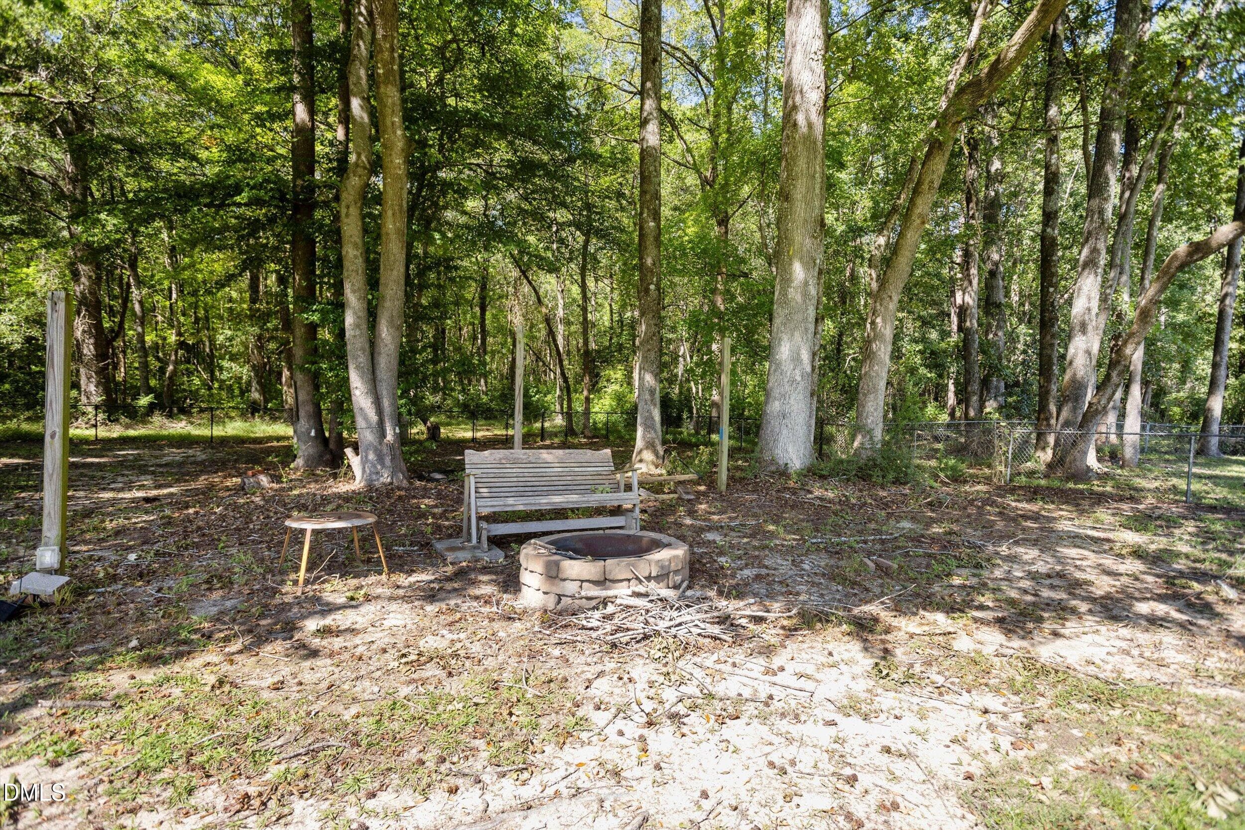 Fire Pit - 436 Olivia Way, Selma, NC 27576, Selma