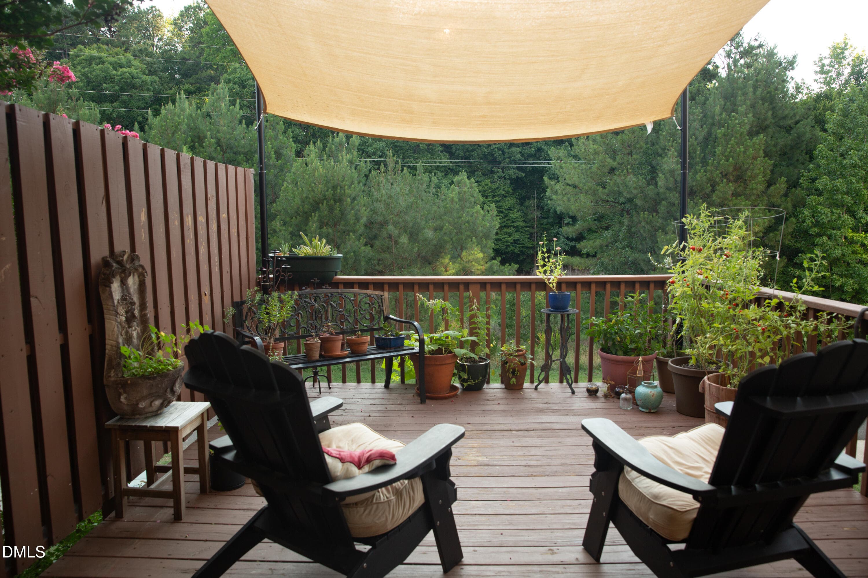 1N0A6858 - 130 S Camellia Street, Chapel Hill, NC 27516, Chapel Hill