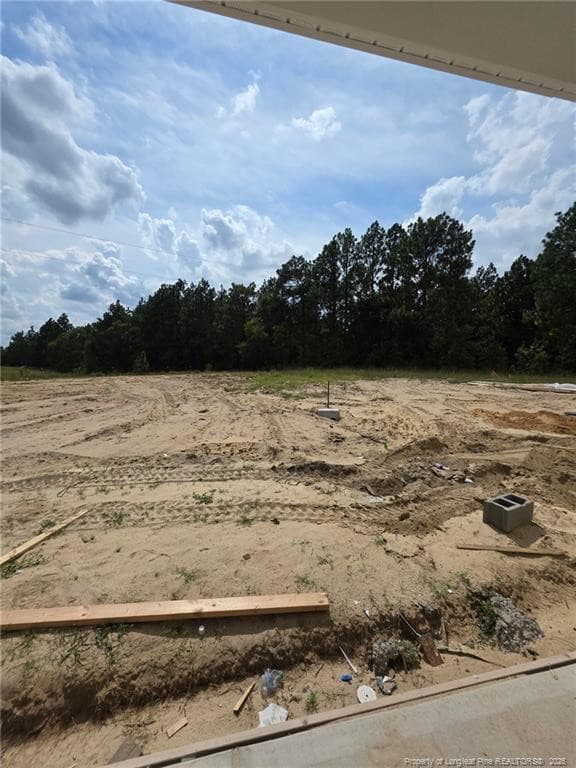 Photo 10 - 230 D L PHILLIPS (Lot 2) Lane, Broadway, NC 27505