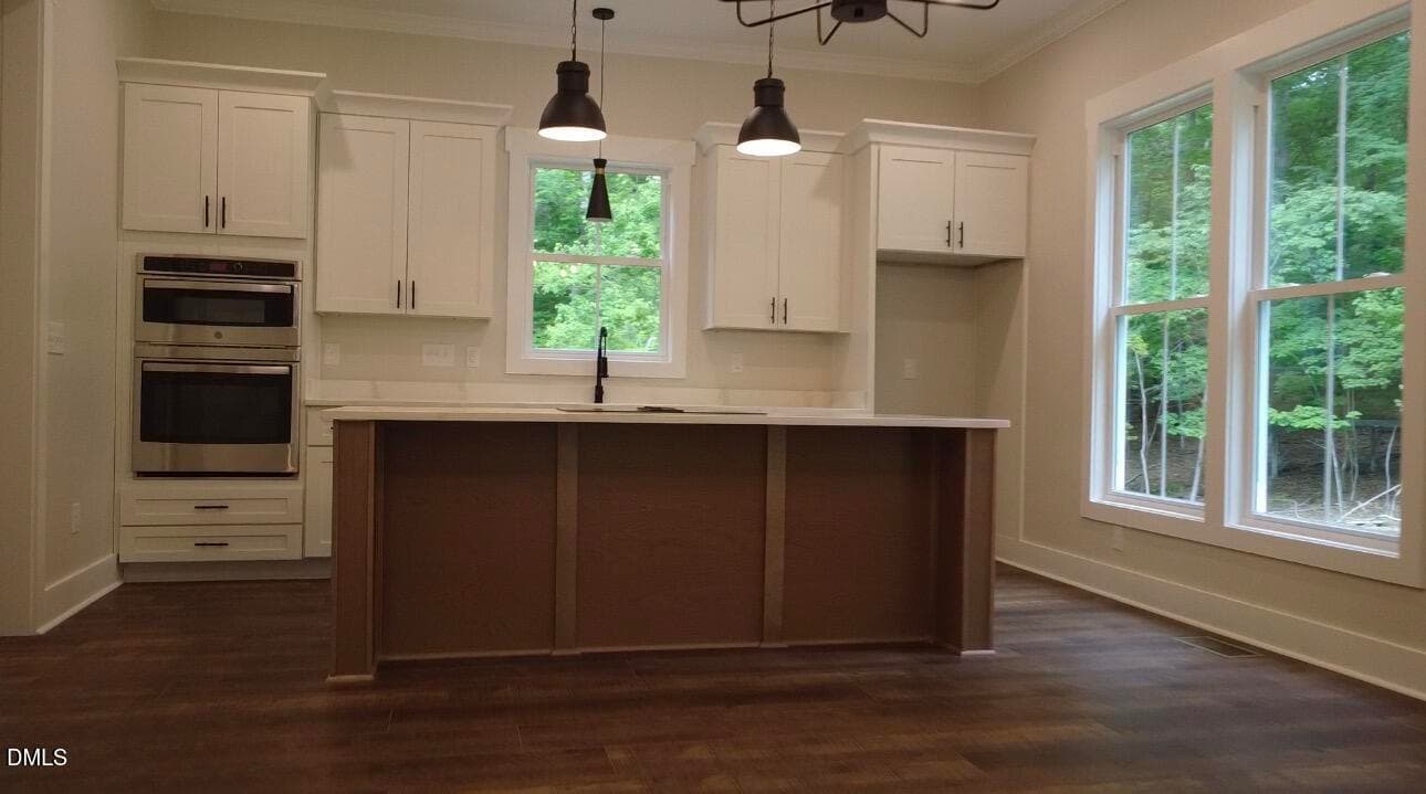 IMG_0358 - 35 Eagle Drive, Durham, NC 27712, Durham