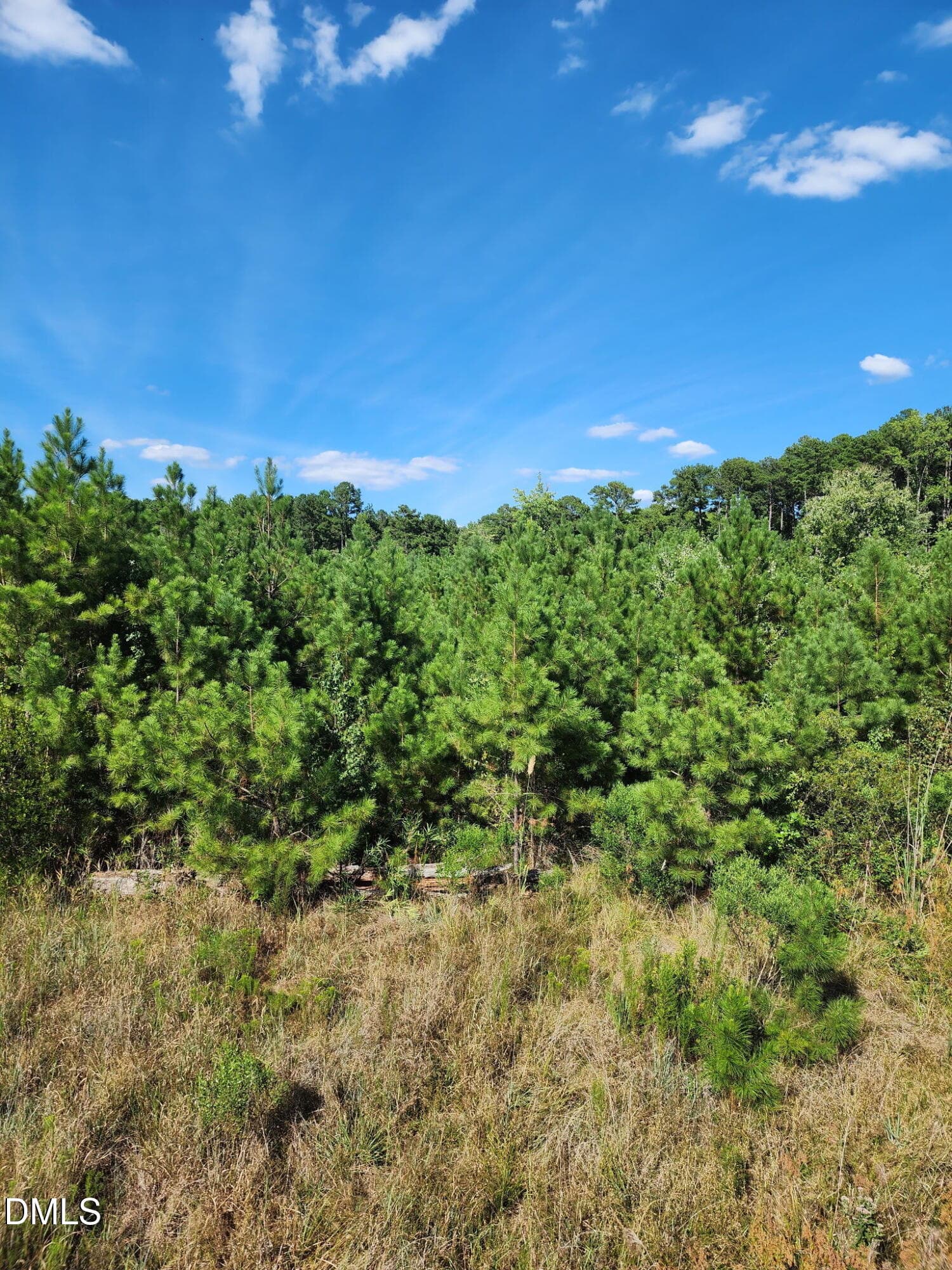 0 Ten Ten Road, Apex, NC 27539
