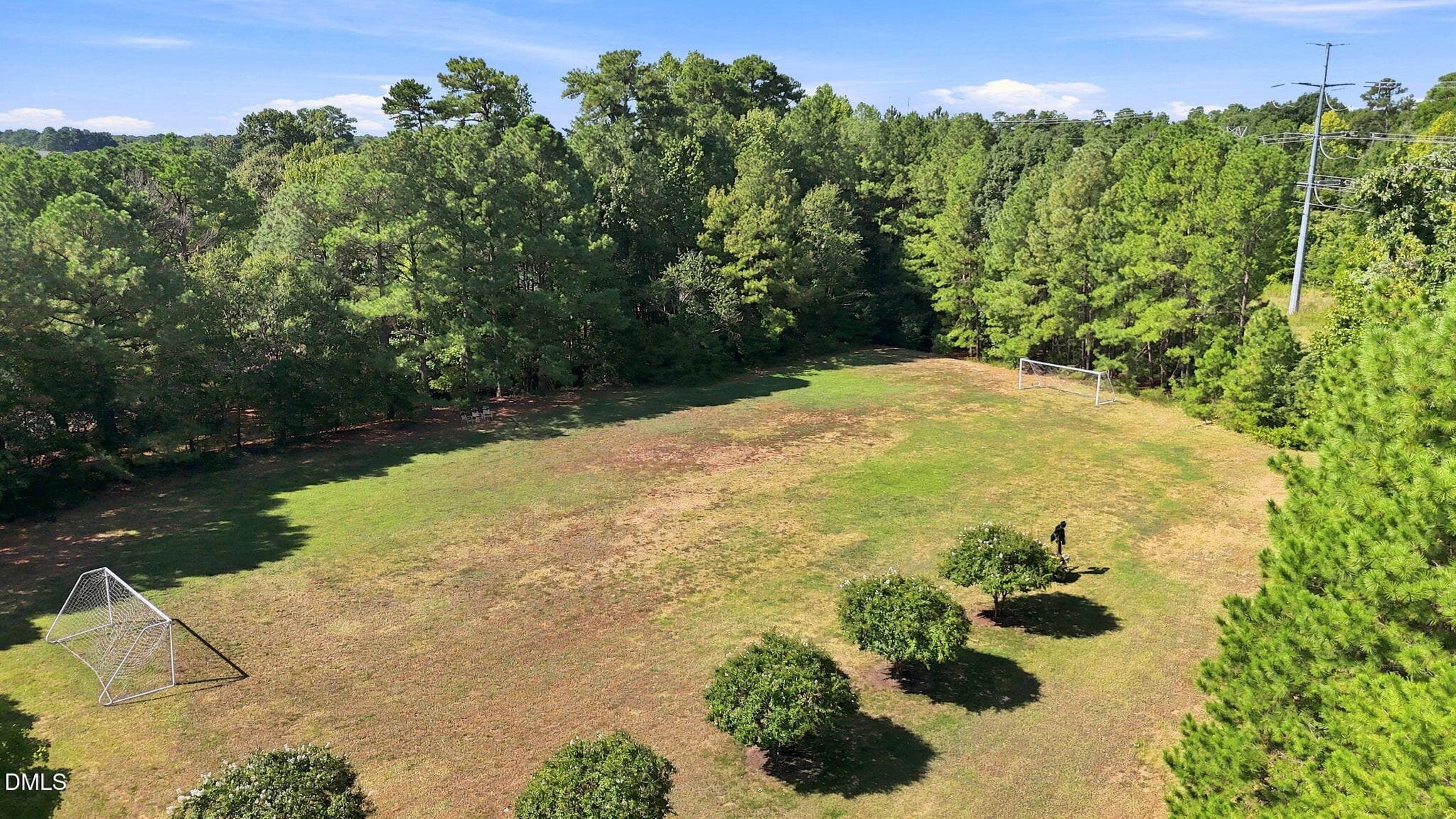 10101 Hallberg Lane - 10101 Hallberg Lane, Raleigh, NC 27614, Raleigh