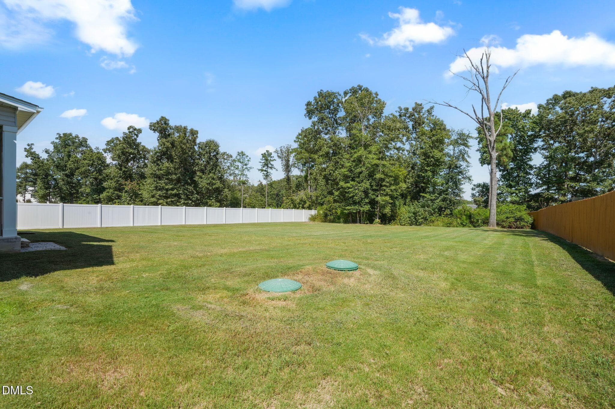 DSC03694 - 205 Morningside Lane, Angier, NC 27501, Angier
