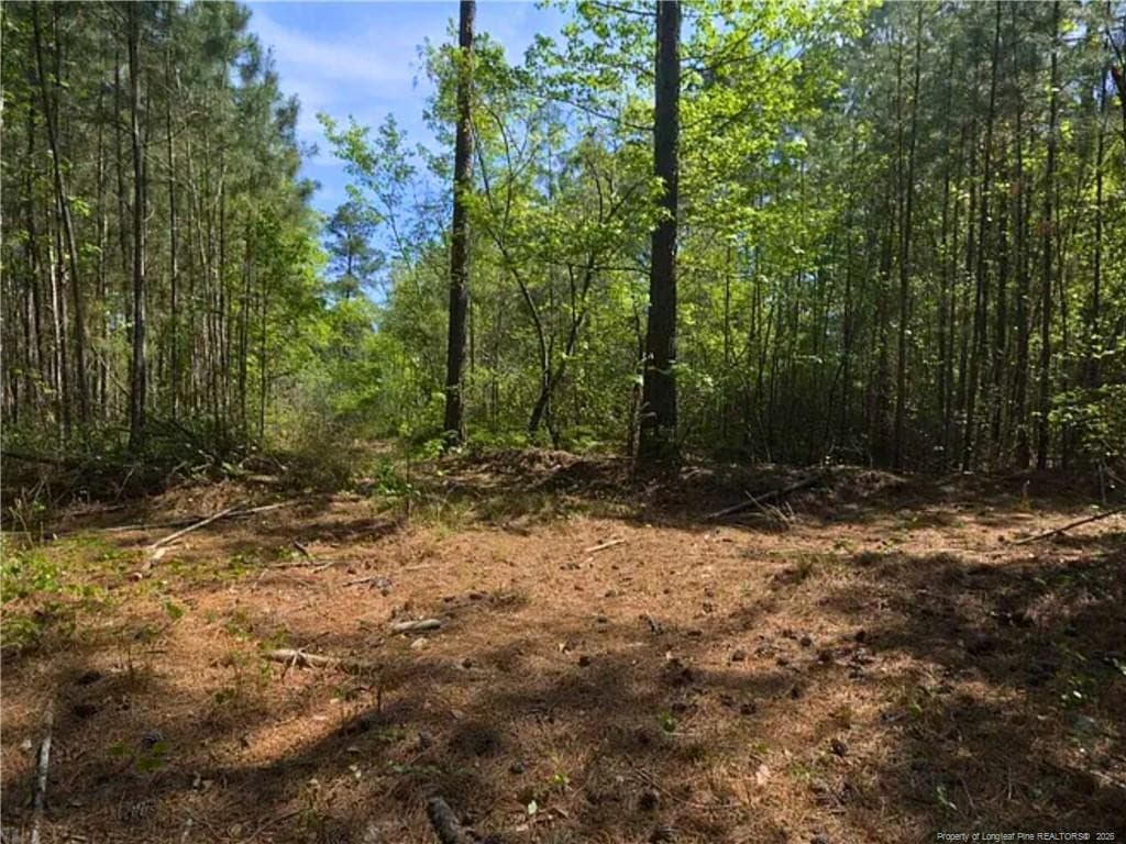 Photo 6 - 00-00 Strother Road, Aberdeen, NC 28315