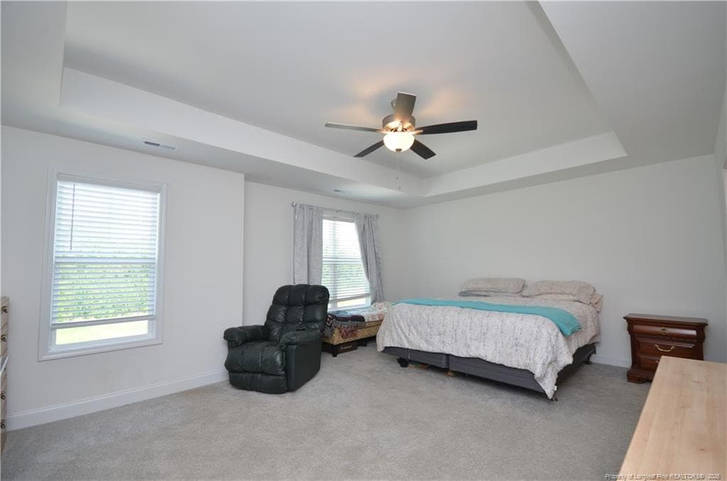 Photo 31 - 256 Godwin Gate Street, Linden, NC 28356