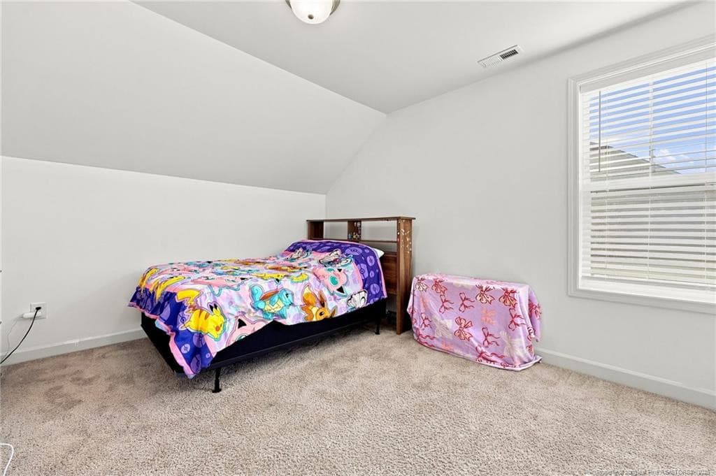 Photo 26 - 96 Hungry Creek Drive, Erwin, NC 28339