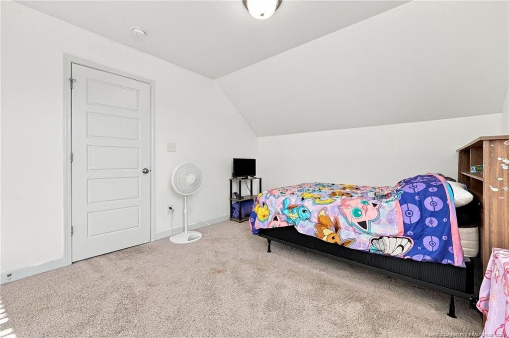 Photo 27 - 96 Hungry Creek Drive, Erwin, NC 28339