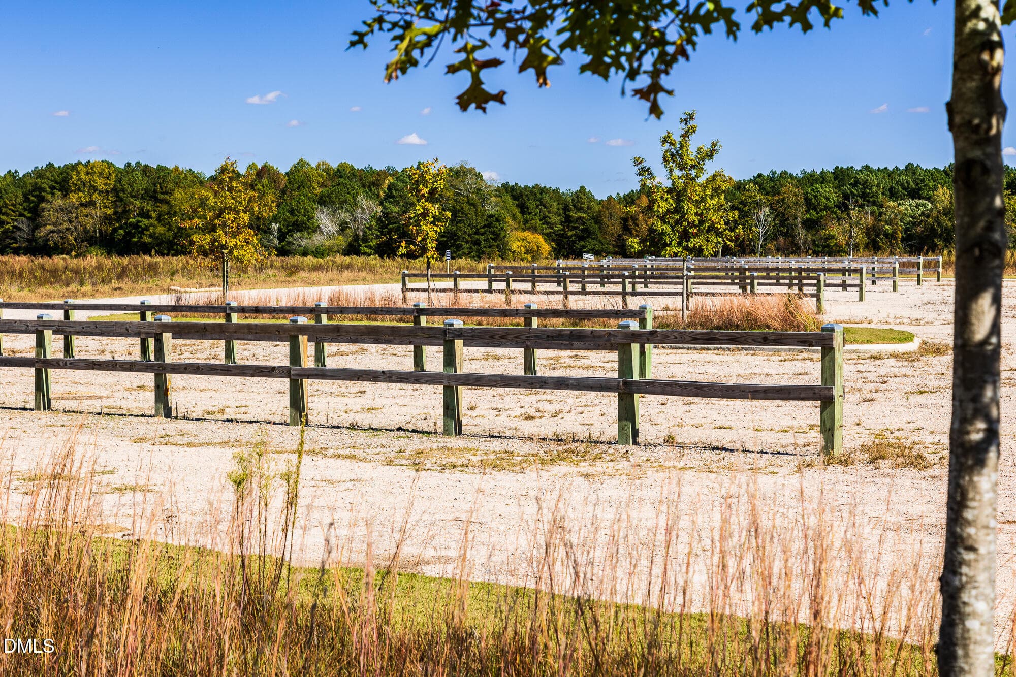 Nearby Area (6) - 111 Sweetbay Tree Drive, Wendell, NC 27591, Wendell