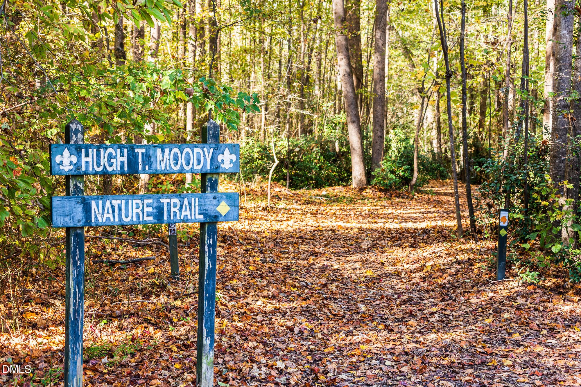 Nearby Area (21) - 111 Sweetbay Tree Drive, Wendell, NC 27591, Wendell