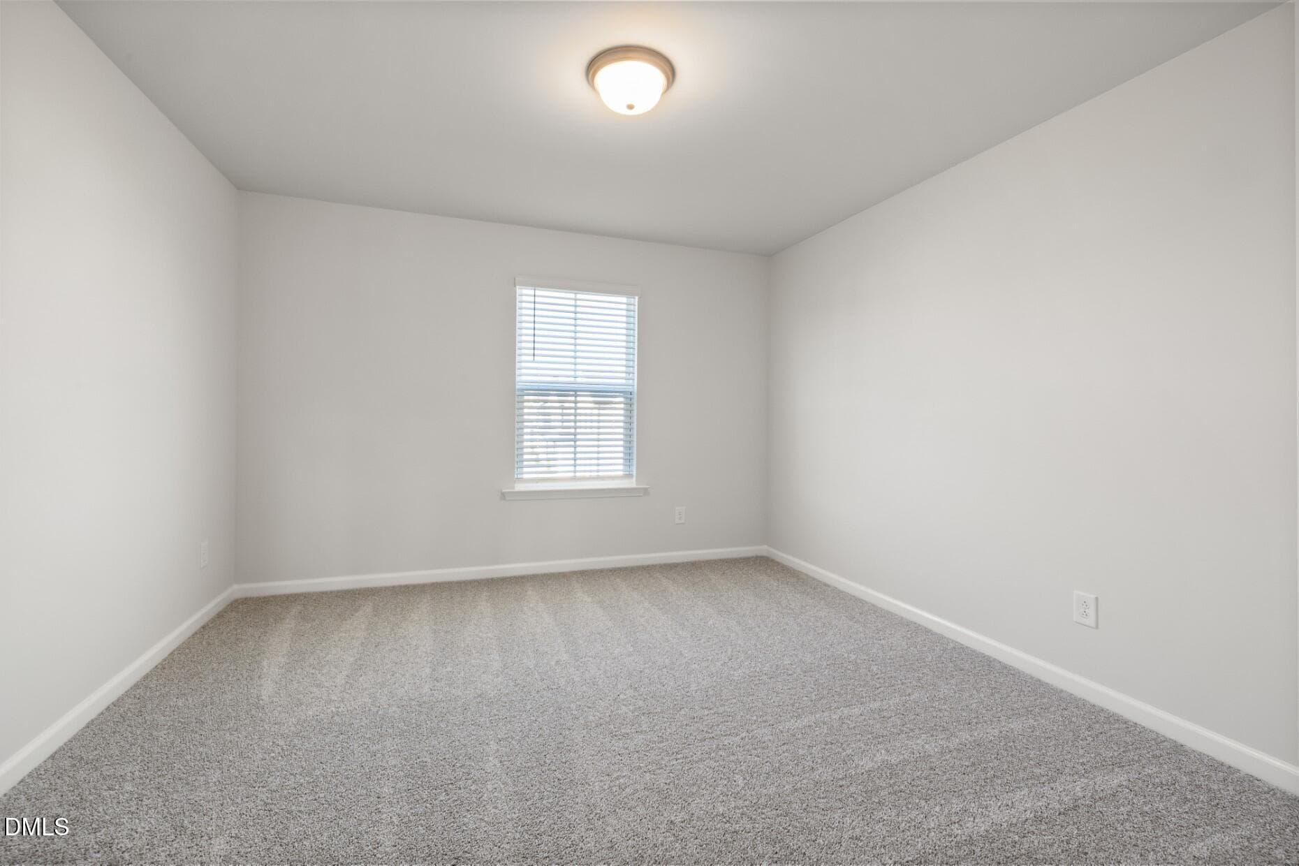 PRO Hampton Lot #74 (13) - 589 Fosterton Cottage Way, Raleigh, NC 27603, Raleigh