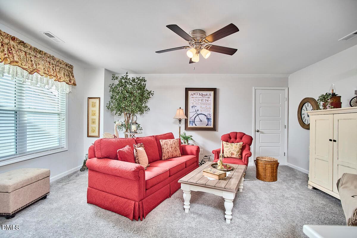 041 - 1237 Brown Velvet Lane, Apex, NC 27523, Apex
