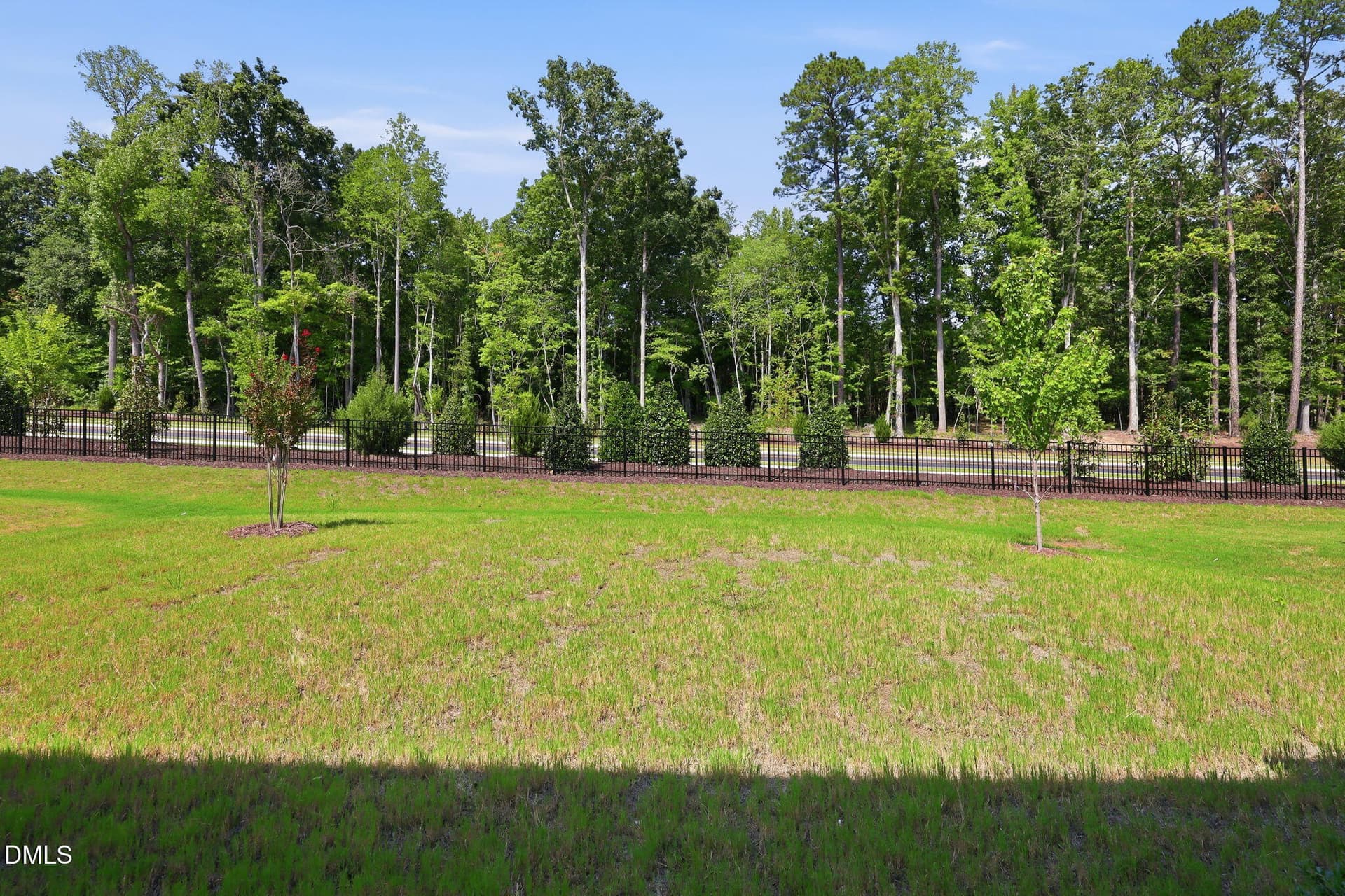 65-web-or-mls-IMG_6454 - 8009 Mint Whisper Way, Apex, NC 27523