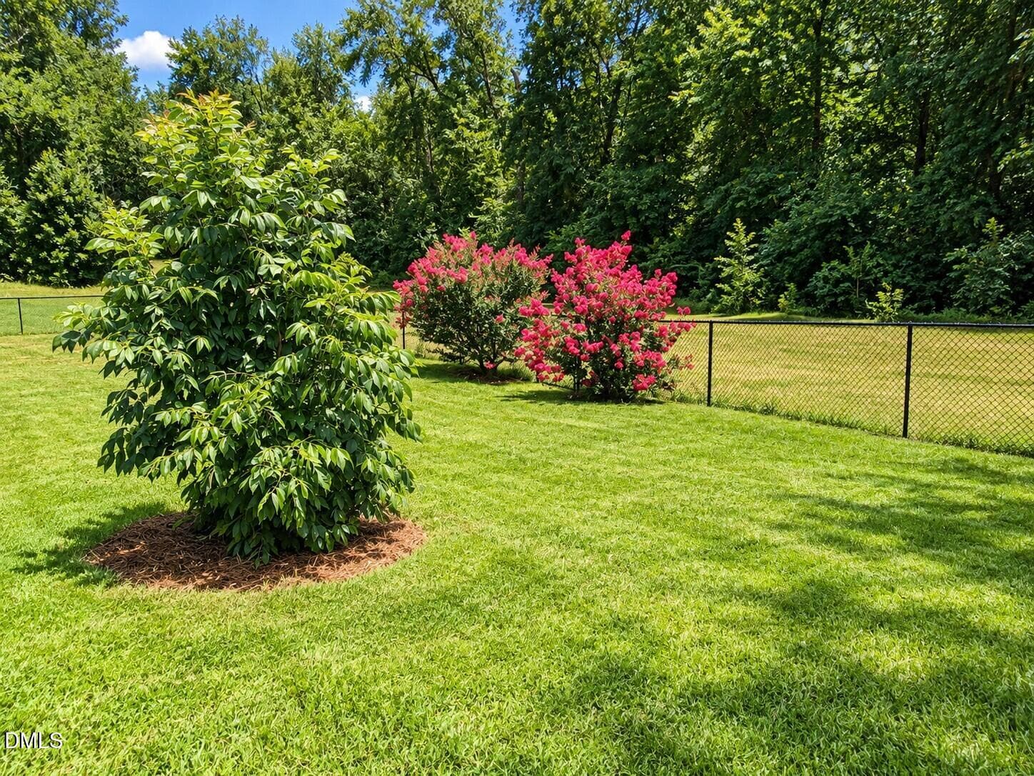 Fenced backyard - 104 Woodbine Drive, Louisburg, NC 27549, Louisburg