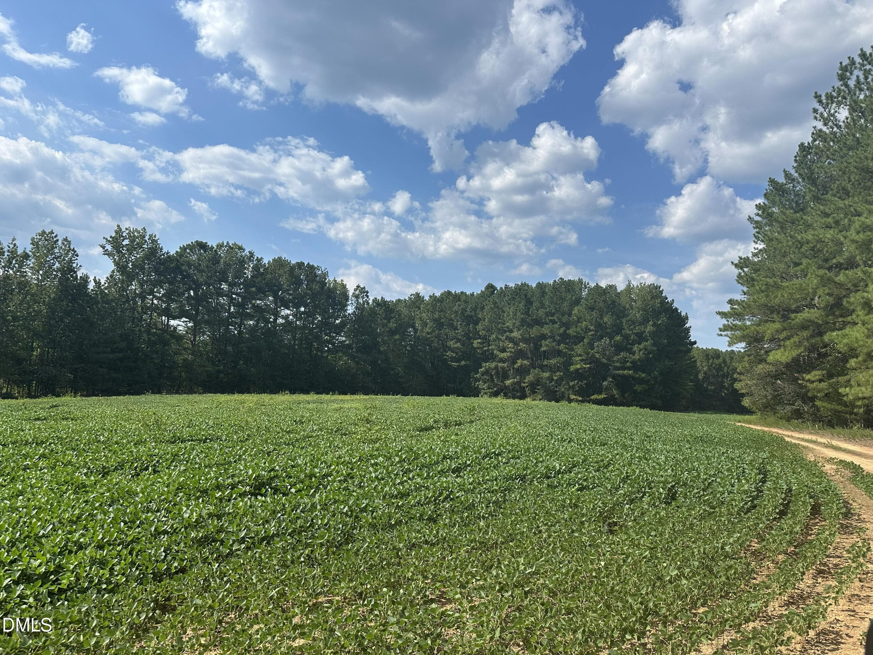 IMG_3313 - 6056 Hobgood Road, Rougemont, NC 27572, Rougemont