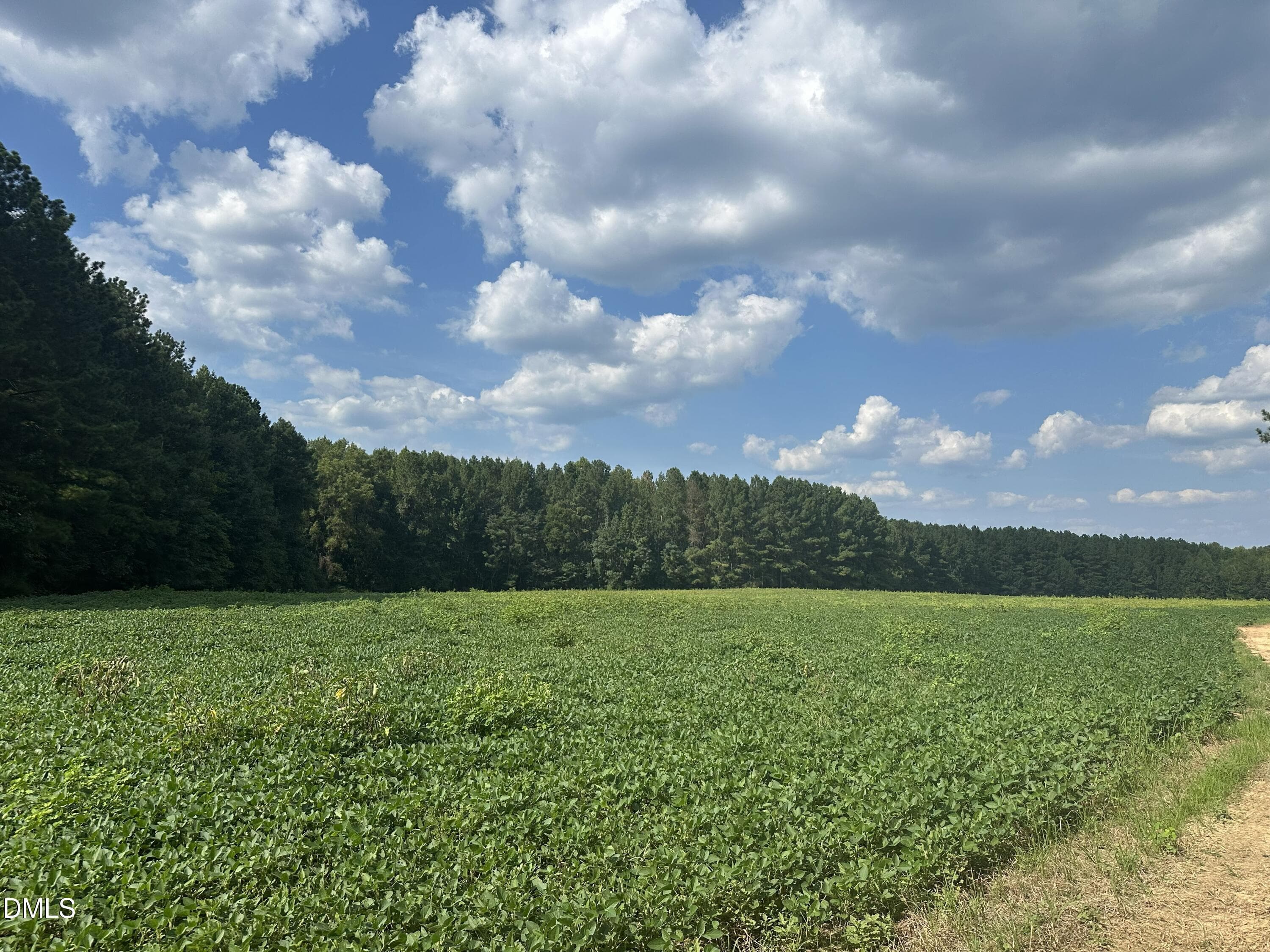 IMG_3315 - 6056 Hobgood Road, Rougemont, NC 27572, Rougemont