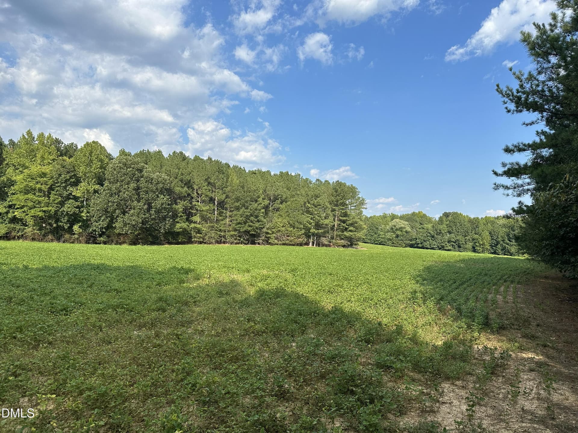 IMG_3324 - 6056 Hobgood Road, Rougemont, NC 27572