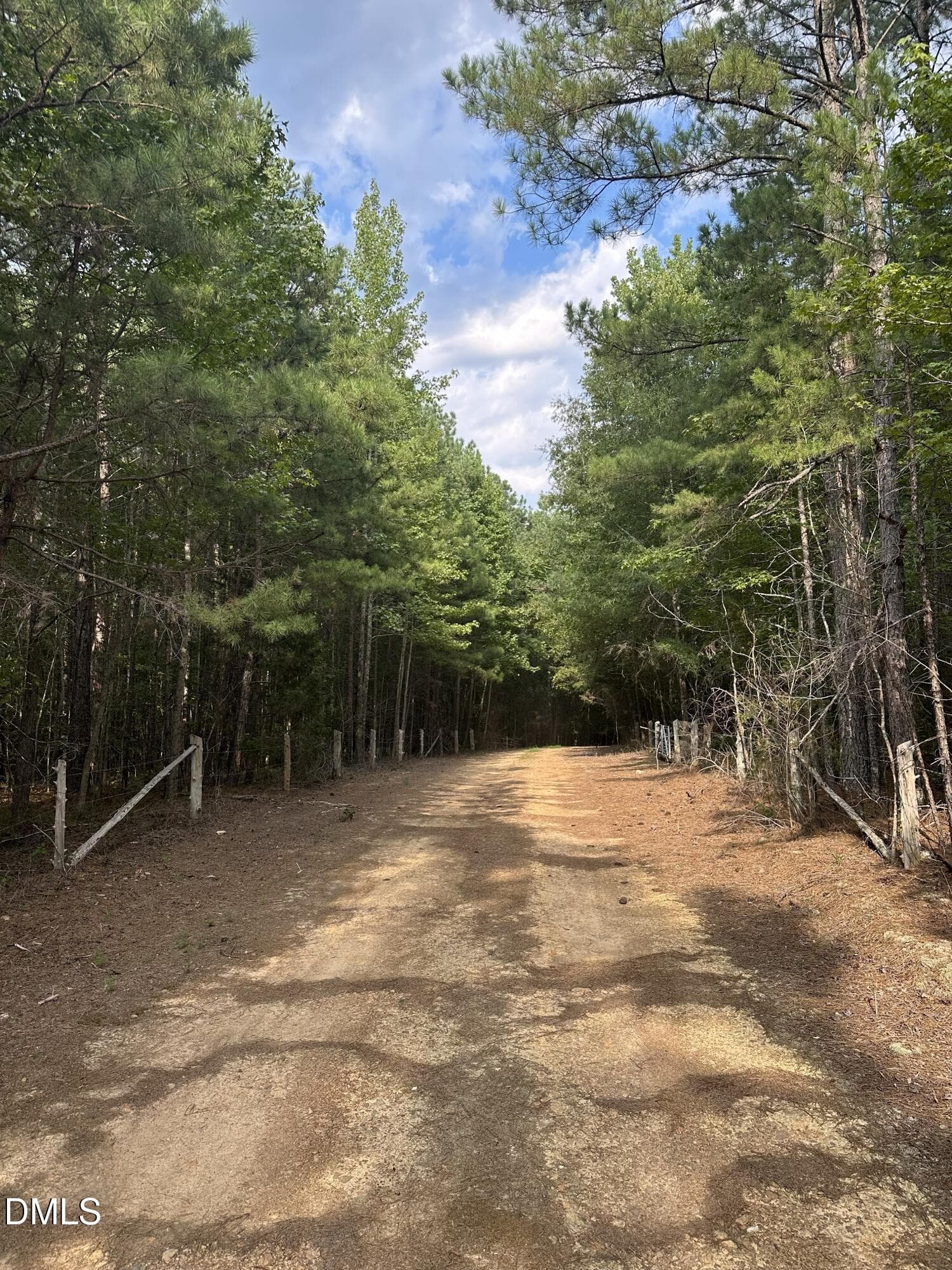 IMG_3329 - 6056 Hobgood Road, Rougemont, NC 27572