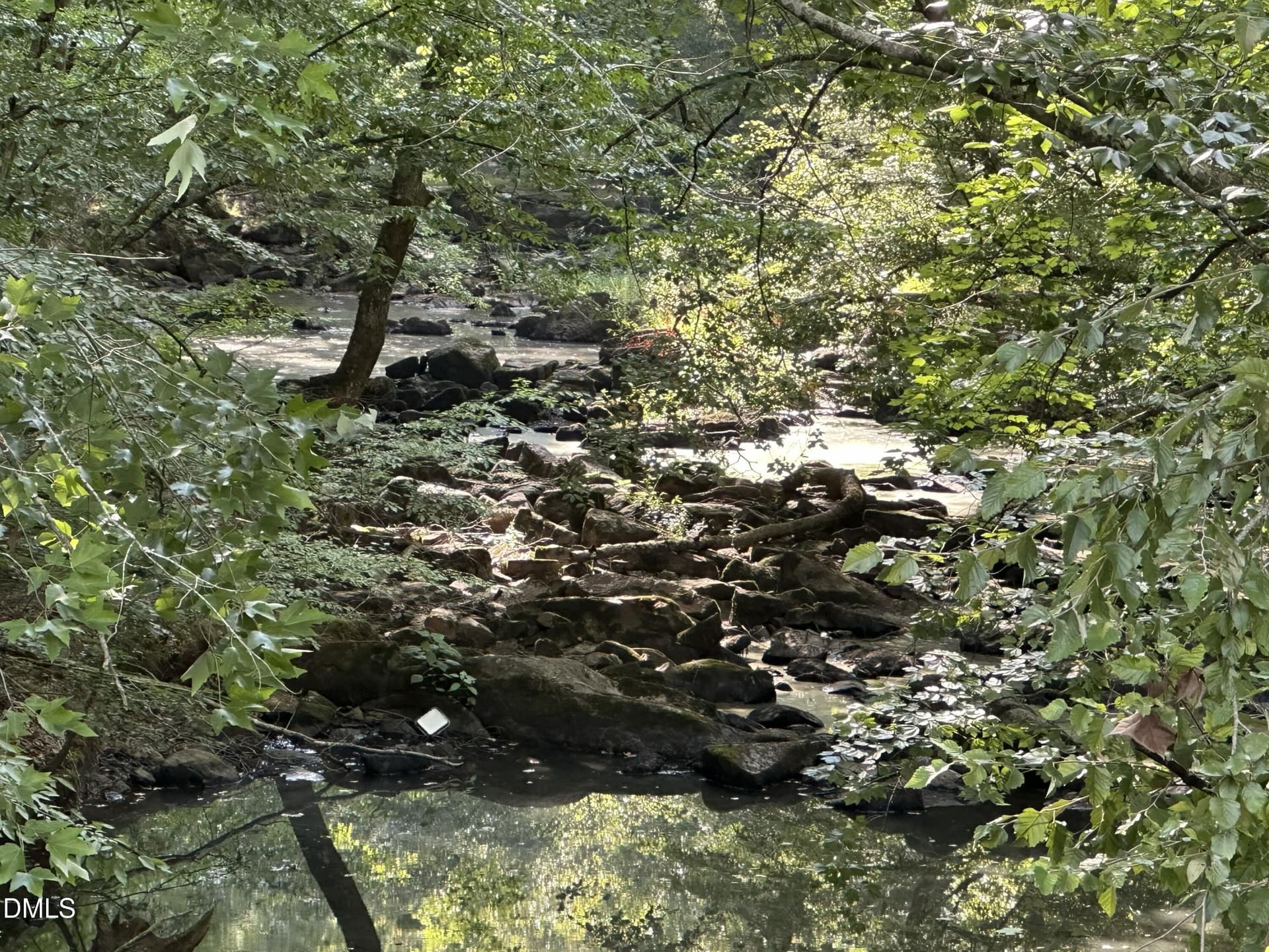 IMG_3332 - 6056 Hobgood Road, Rougemont, NC 27572