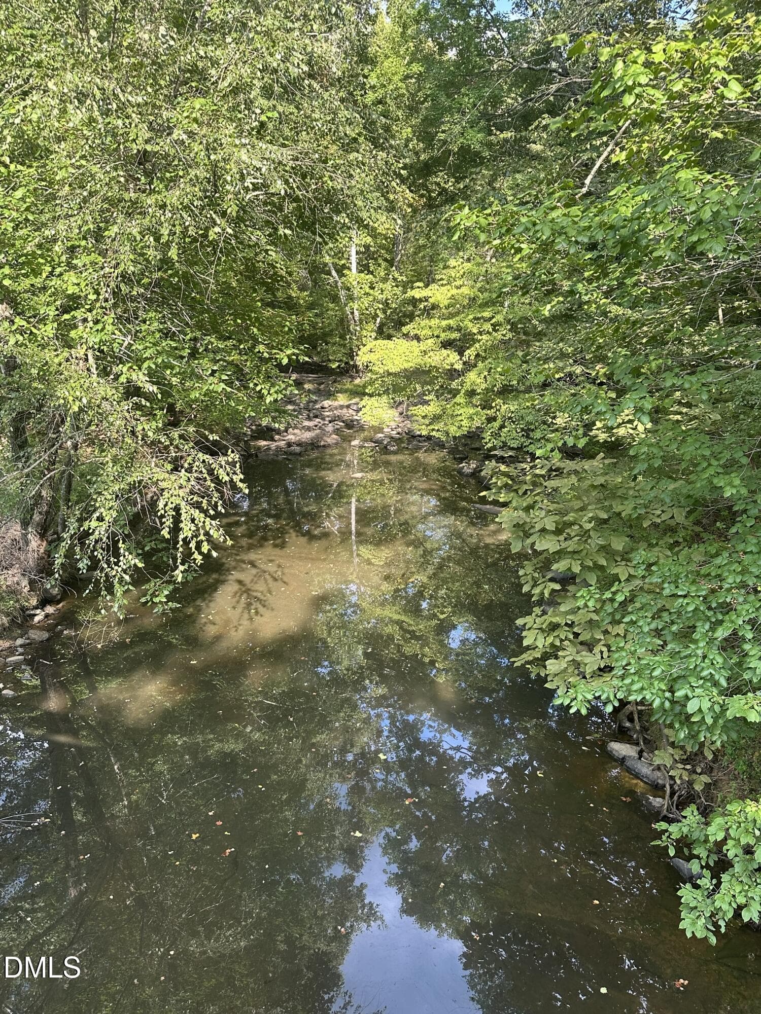 IMG_3333 - 6056 Hobgood Road, Rougemont, NC 27572