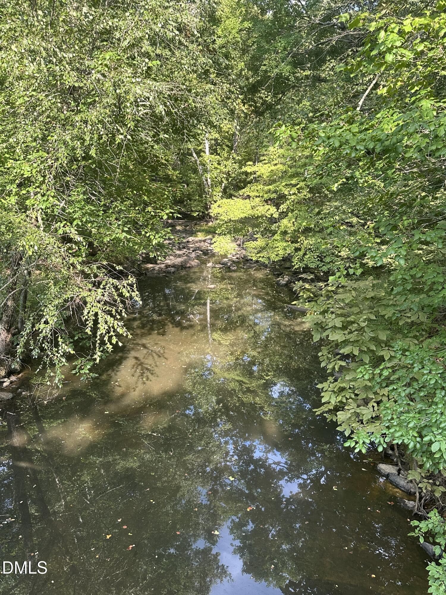 IMG_3335 - 6056 Hobgood Road, Rougemont, NC 27572