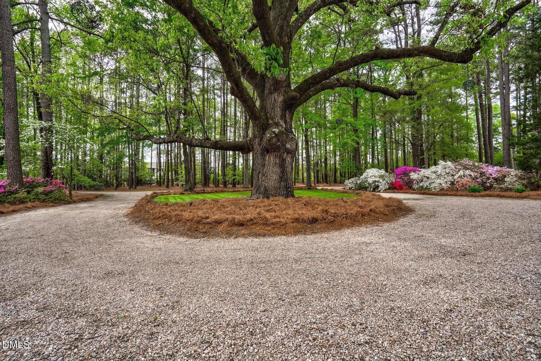 Front Circle - 4841 Wendell Boulevard, Wendell, NC 27591, Wendell