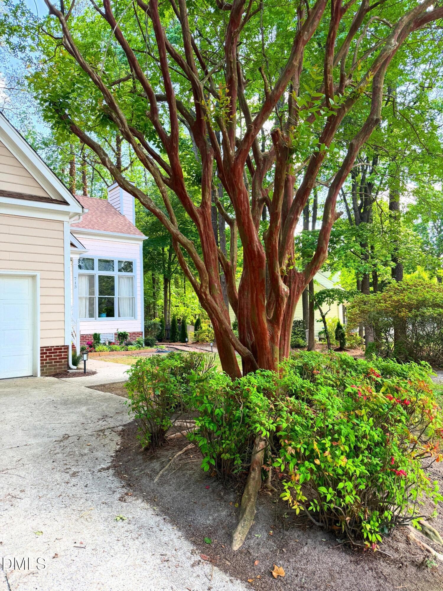 15_beyc6a9dbd9d4c846 - 713 Beddingfield Drive, Knightdale, NC 27545, Knightdale