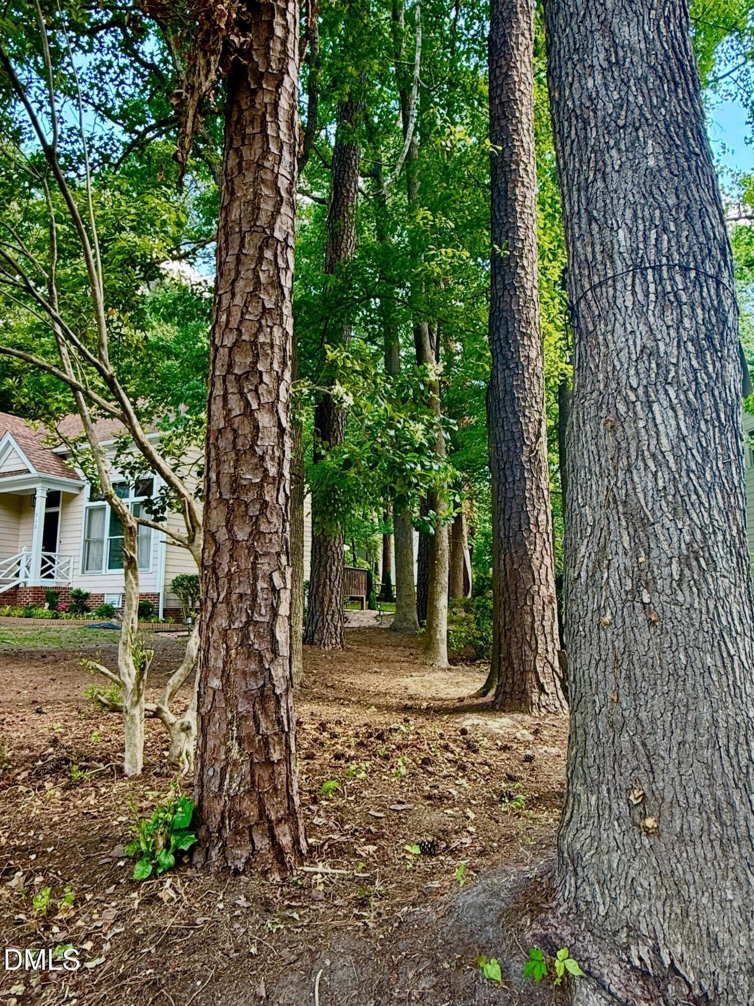 16_beyc6a9dbd53e8acd - 713 Beddingfield Drive, Knightdale, NC 27545, Knightdale
