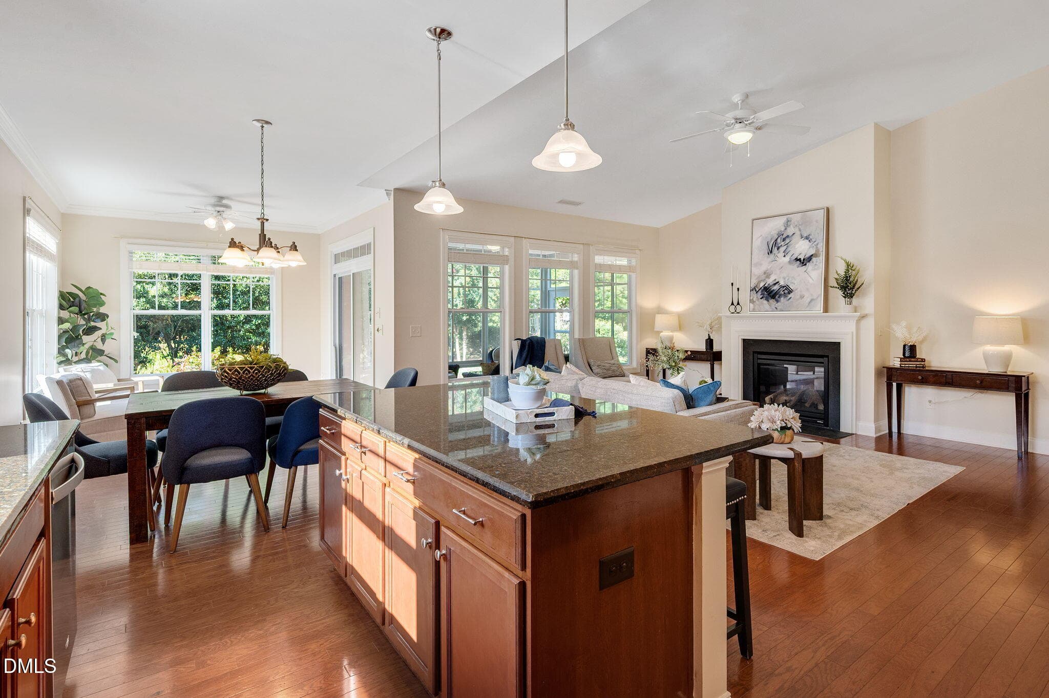 Open Concept Living - 225 Aldenwood Place, Apex, NC 27539, Apex