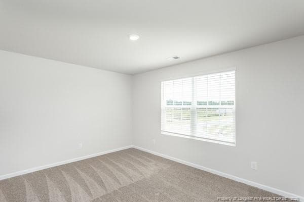 Photo 19 - 159 Empress Street, Broadway, NC 27505