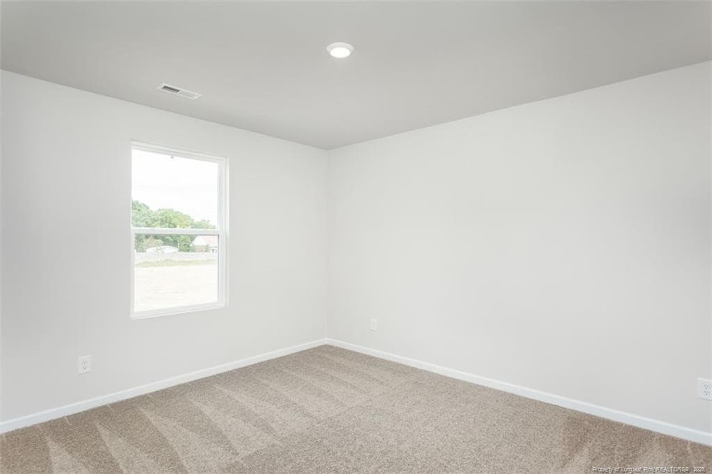 Photo 20 - 79 Laforce Lane, Broadway, NC 27505