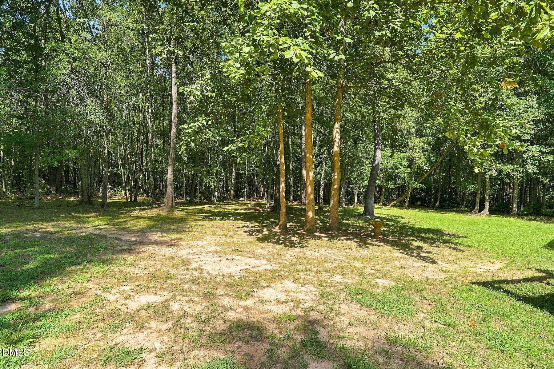 Backyard - 243 Barrette Lane, Wendell, NC 27591, Wendell