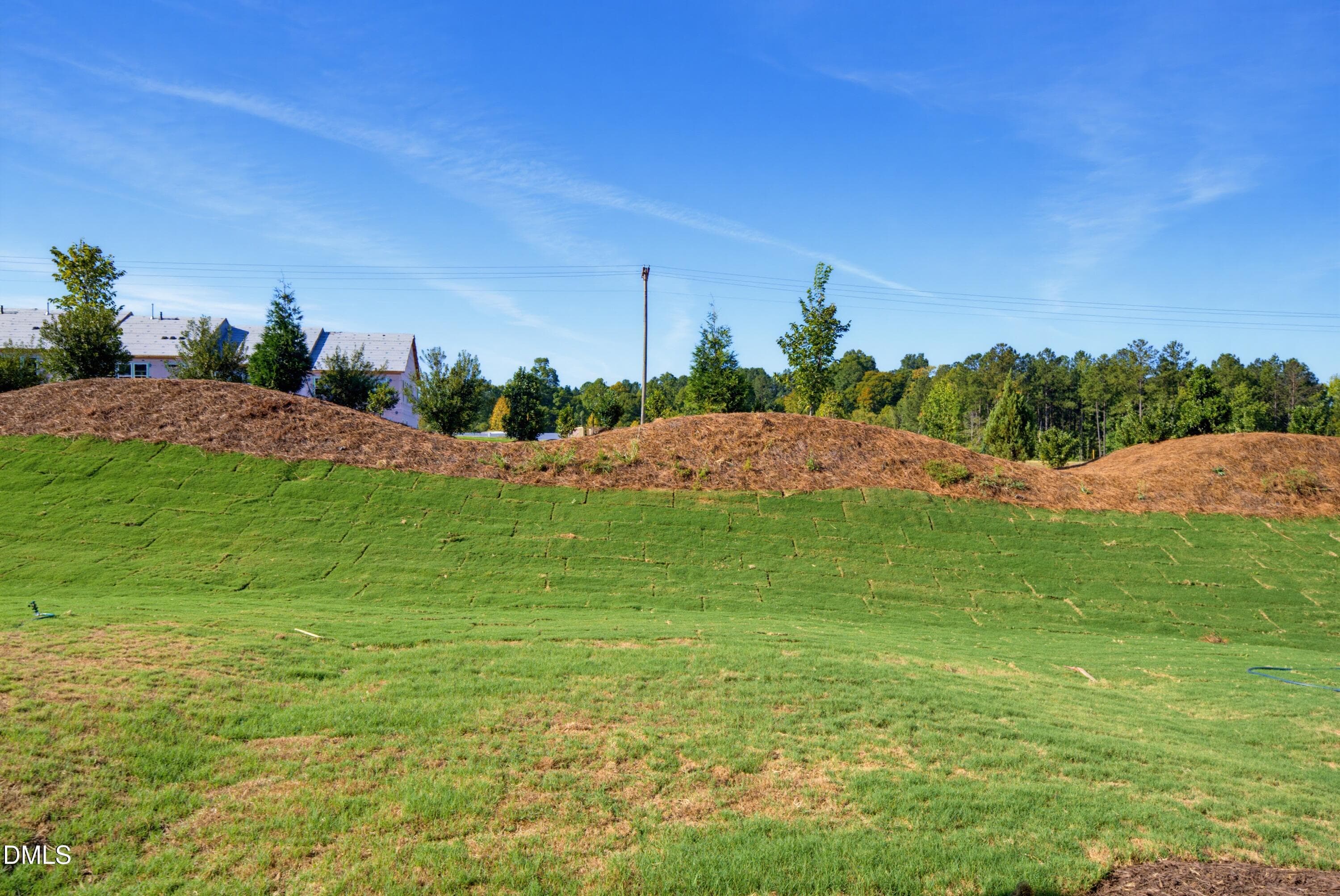 DSC05266 - 1056 Tea Rose Court 367, Durham, NC 27703, Durham