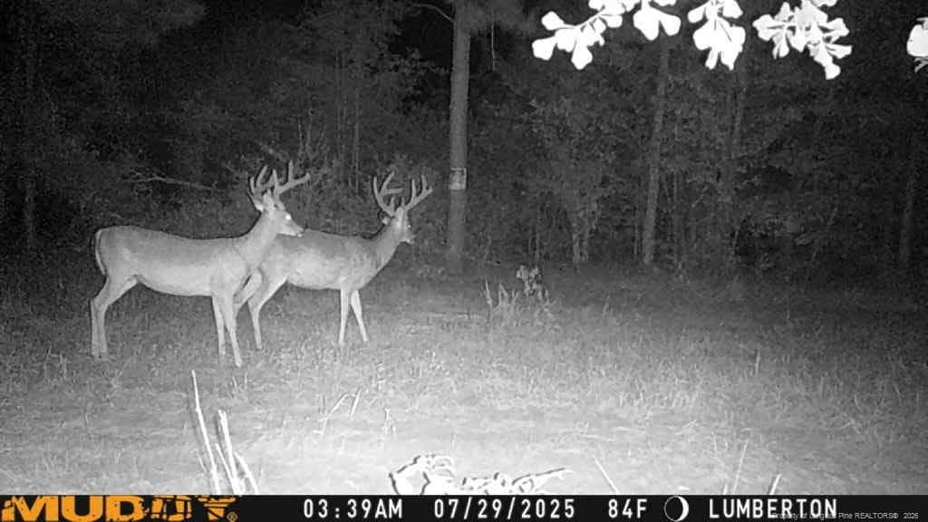 Photo 1 - Allen Street, Lumberton, NC 28359