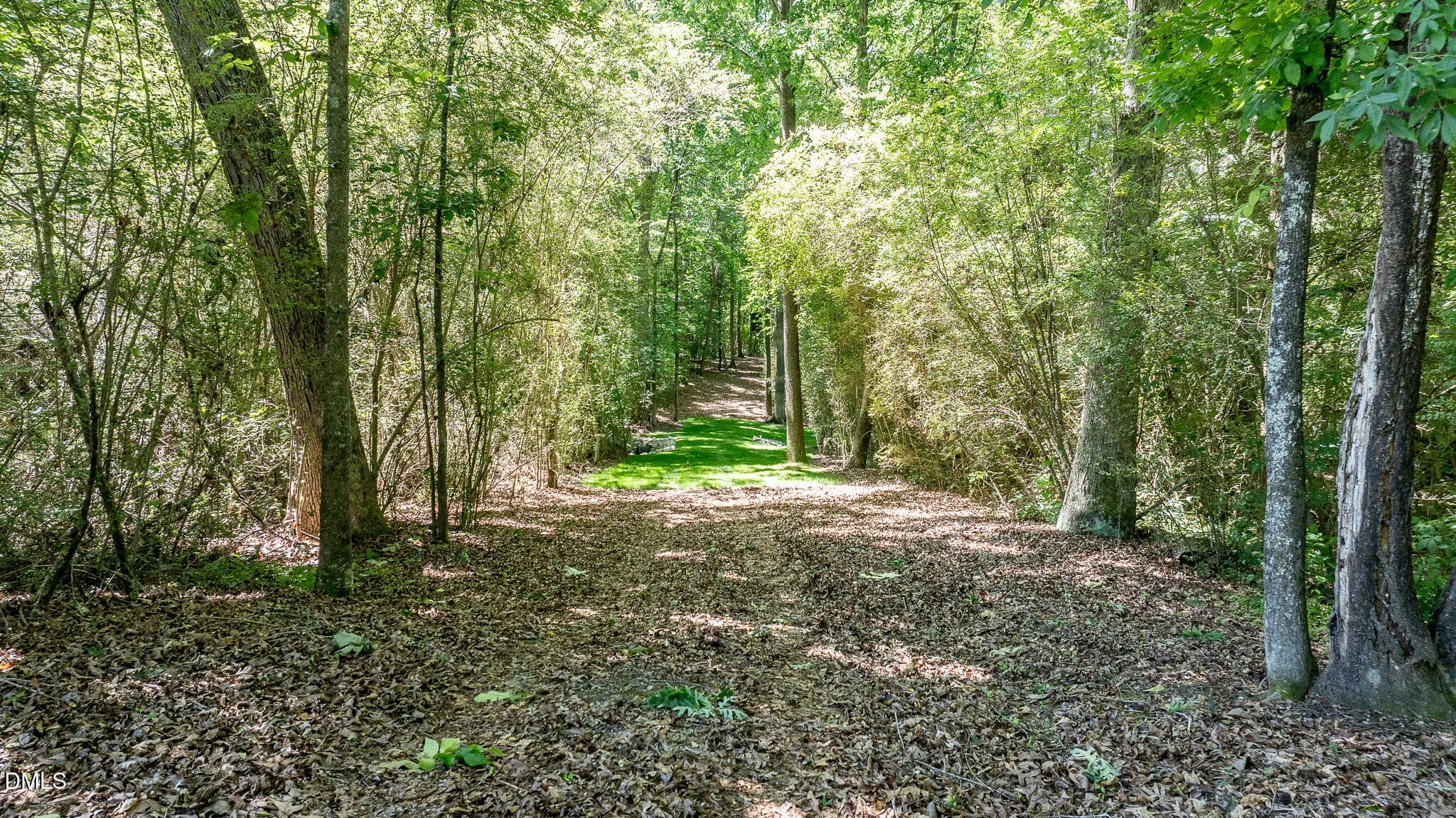 394-Trail1 - 394 King Road, Castalia, NC 27816