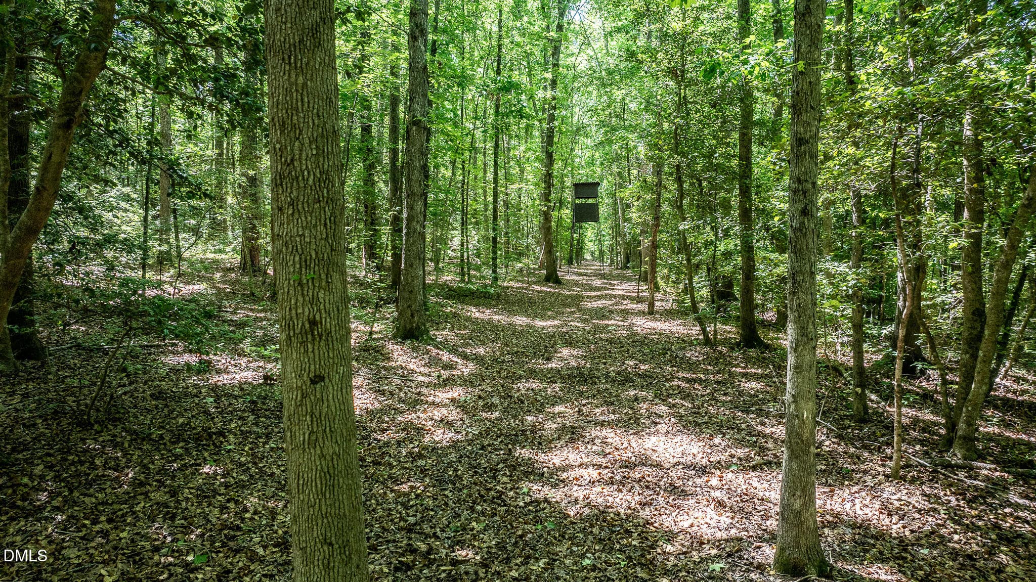 394-Trail4 - 394 King Road, Castalia, NC 27816